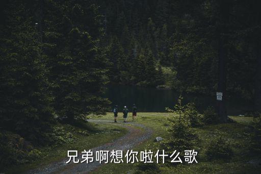 兄弟想你了舞蹈教学慢视频