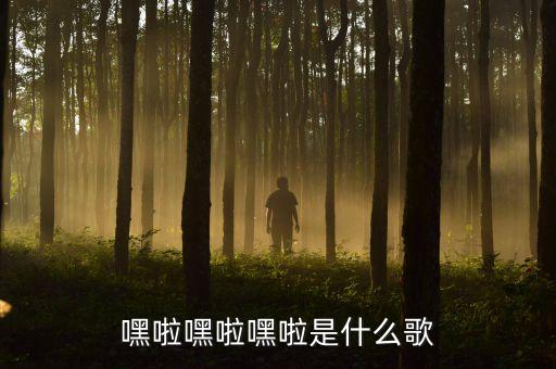 嘿啦嘿啦嘿啦是什么歌