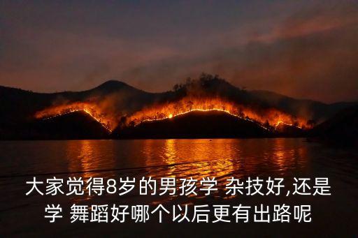 大家觉得8岁的男孩学 杂技好,还是学 舞蹈好哪个以后更有出路呢
