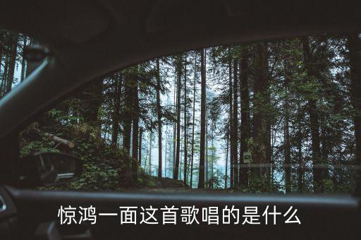 惊鸿一面这首歌唱的是什么