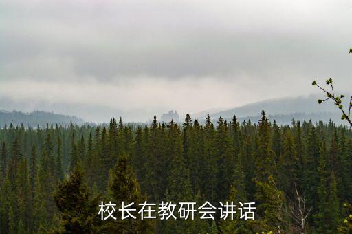  校长在教研会讲话
