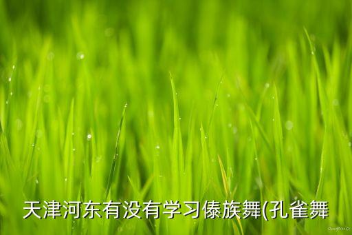 天津河东有没有学习傣族舞(孔雀舞