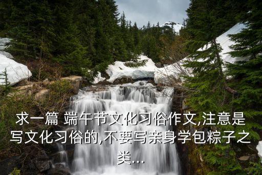 五月端午节中老年舞蹈