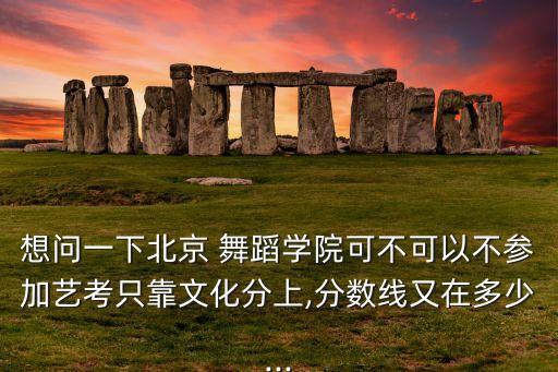 考舞蹈必须走纯艺吗,舞蹈必须一级一级考吗