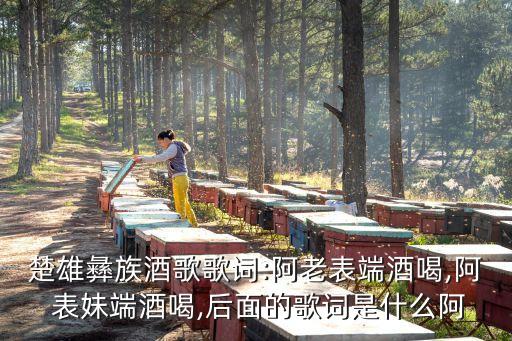 楚雄彝族酒歌歌词:阿老表端酒喝,阿 表妹端酒喝,后面的歌词是什么阿