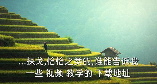 ...探戈,恰恰之类的,谁能告诉我一些 视频 教学的 下载地址