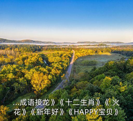 ...成语接龙》《十二生肖》《 火花》《新年好》《HAPPY宝贝》