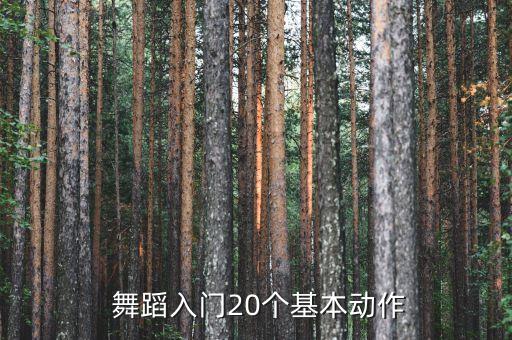  舞蹈入门20个基本动作