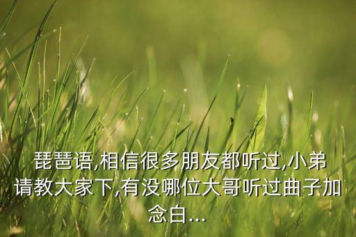  琵琶语,相信很多朋友都听过,小弟请教大家下,有没哪位大哥听过曲子加念白...
