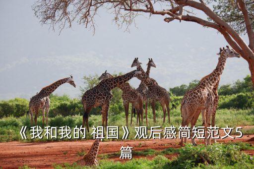 我和我的祖国舞蹈教学刘荣,周勇我和我的祖国舞蹈教学视频