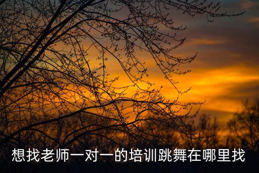想找老师一对一的培训跳舞在哪里找