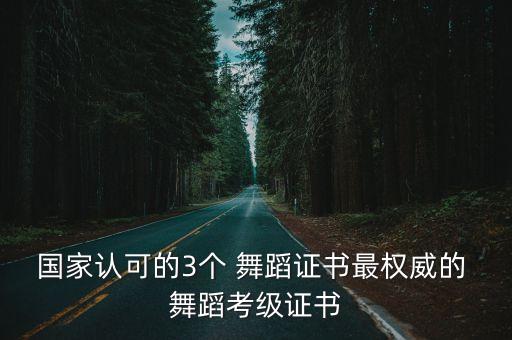 国家认可的3个 舞蹈证书最权威的 舞蹈考级证书