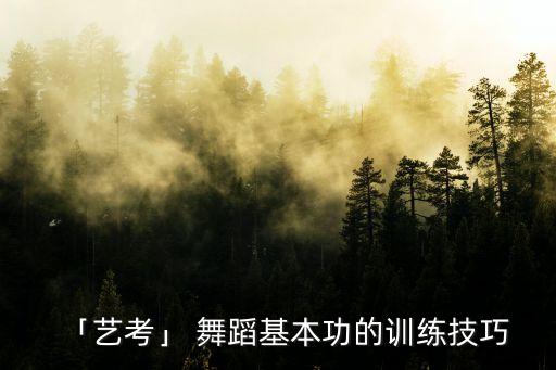 舞蹈生技巧教学,舞蹈双脚转圈技巧教学视频