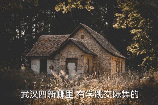 武汉哪里有学舞蹈,武汉学舞蹈的培训机构