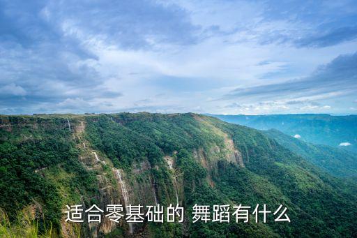 适合零基础的 舞蹈有什么