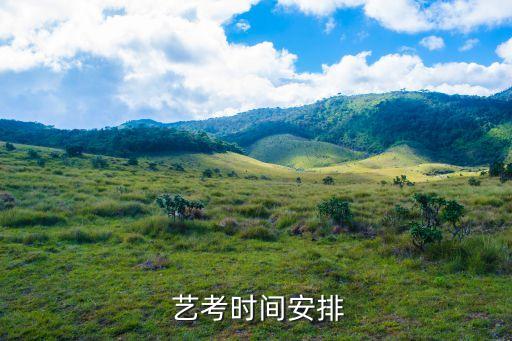 艺考舞蹈2021,舞蹈艺考集训培训机构