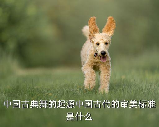 舞蹈走向复兴正反面教学