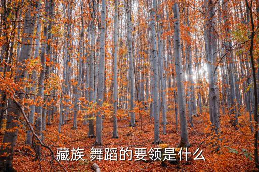  藏族 舞蹈的要领是什么
