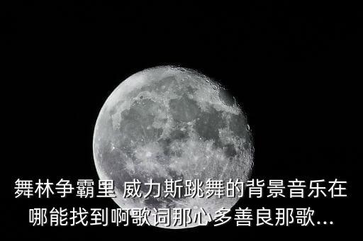 舞林争霸里 威力斯跳舞的背景音乐在哪能找到啊歌词那心多善良那歌...