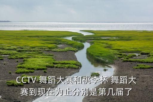 CCTV 舞蹈大赛和桃李杯 舞蹈大赛到现在为止分别是第几届了