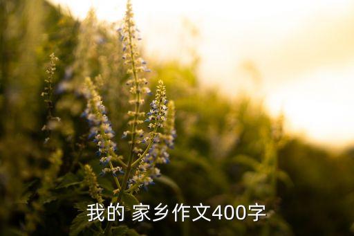 我的 家乡作文400字