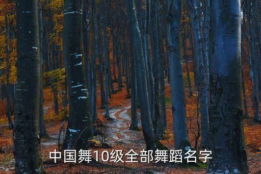 中国舞10级全部舞蹈名字