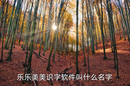 乐乐美美识字软件叫什么名字