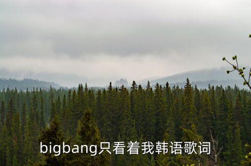 不要忘了我舞蹈