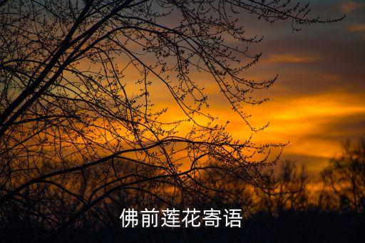 来生愿做一朵莲舞蹈.