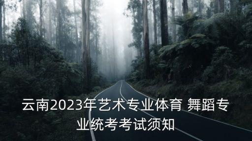 云南2023年艺术专业体育 舞蹈专业统考考试须知