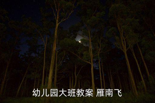 幼儿园大班教案 雁南飞