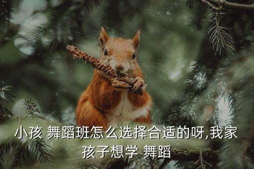 幼儿艺术班舞蹈,幼儿舞蹈班一般需要多少钱一个月