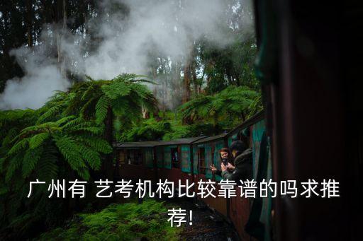  广州有 艺考机构比较靠谱的吗求推荐!