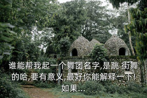 谁能帮我起一个舞团名字,是跳 街舞的哈,要有意义,最好你能解释一下!如果...
