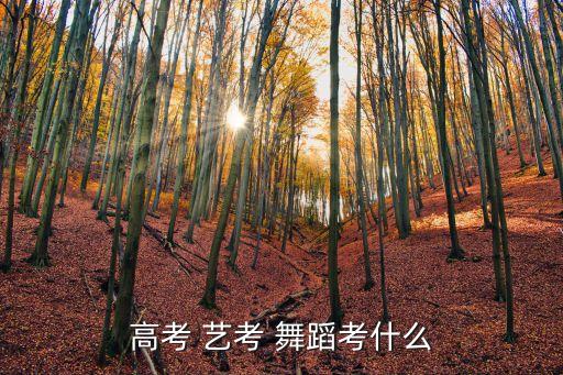 高考 艺考 舞蹈考什么