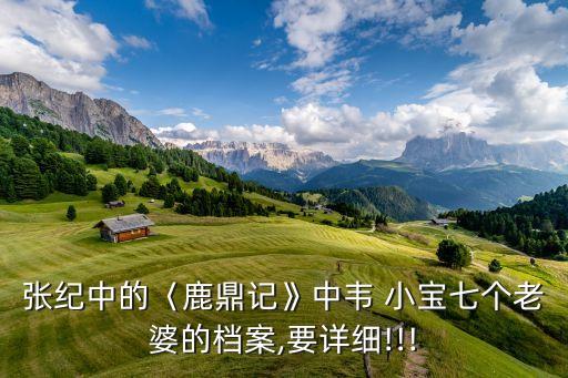 张纪中的〈鹿鼎记》中韦 小宝七个老婆的档案,要详细!!!