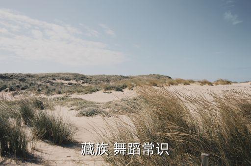 藏族 舞蹈常识