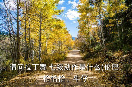 请问拉丁舞 七级动作是什么(伦巴、恰恰恰、牛仔