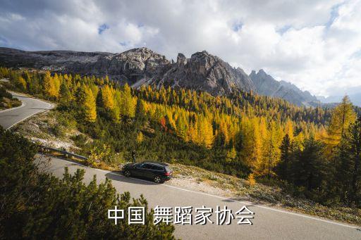 华彩舞蹈考级8级目录,华彩9级考级舞蹈目录