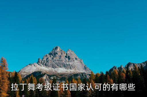 舞蹈考官证