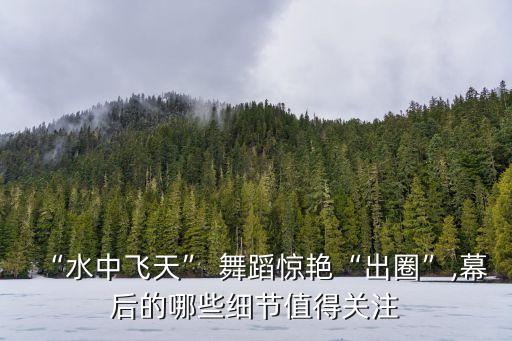两人跳的很艳的舞蹈,两人对跳舞蹈简单易学