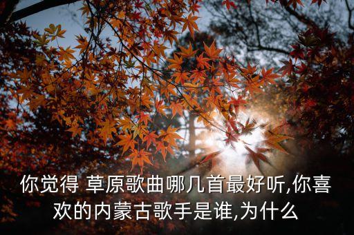 你觉得 草原歌曲哪几首最好听,你喜欢的内蒙古歌手是谁,为什么