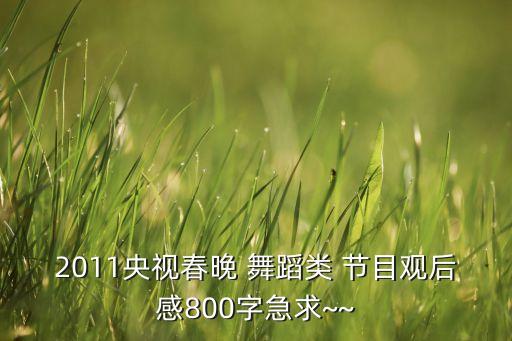 2011央视春晚 舞蹈类 节目观后感800字急求~~