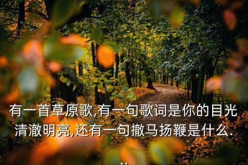 有一首草原歌,有一句歌词是你的目光清澈明亮,还有一句撤马扬鞭是什么...