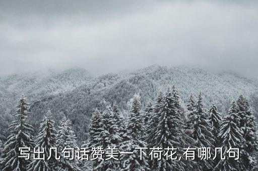 写出几句话赞美一下荷花,有哪几句