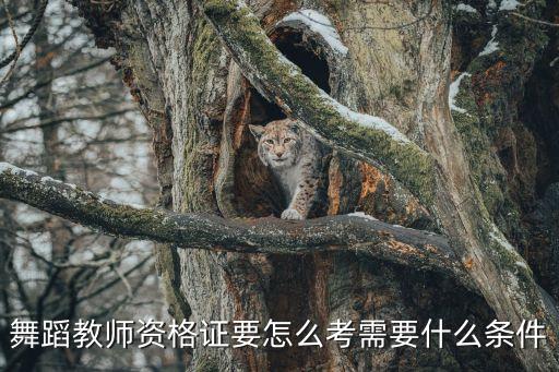 中国舞蹈家协会培训