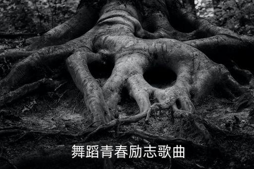  舞蹈青春励志歌曲