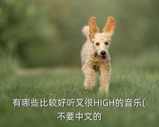 魅力四射舞蹈视频,舞蹈魅力四射舞蹈视频