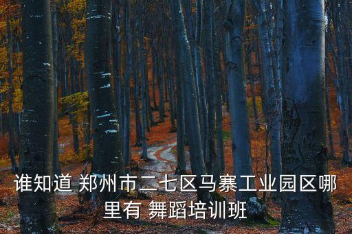 郑州安心舞蹈,郑州比较专业的舞蹈学校