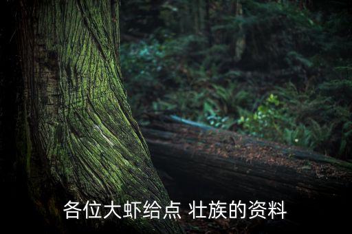 各位大虾给点 壮族的资料